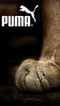 pic for Puma 